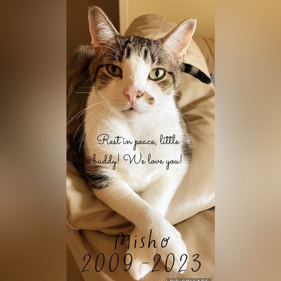 Meet your Posher, Elena - Picture 13 of 16